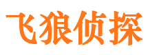 湘桥市婚姻出轨调查